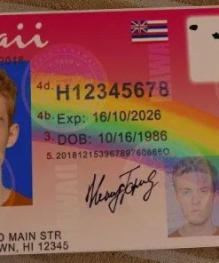 Buy Hawaii Driver's License and ID Card