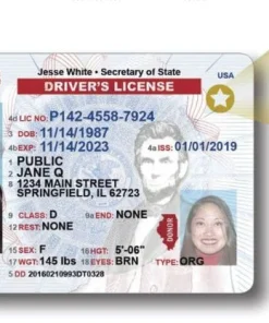 Buy Illinois Driver's License and ID Card 2025